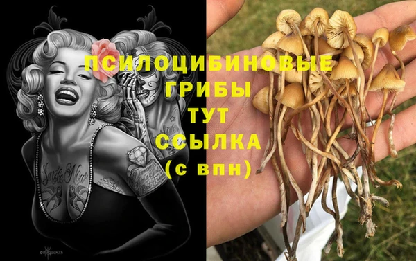 прущая мука Верея